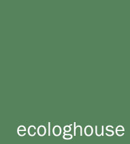 Eco log house