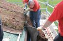 roof-cutting-off-excess-sedum-at-edge.jpg