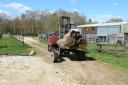 roof-sedum-rolls-on-artic-fork-lift.jpg